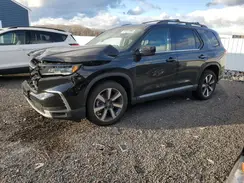 5FNYG1H89RB026674 2024 HONDA PILOT