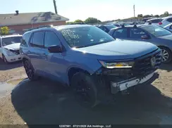 5FNYG1H8XPB501813 2023 HONDA PILOT