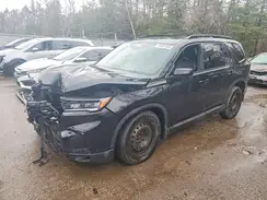 5FNYG1H95SB505866 2025 HONDA PILOT