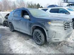 5FNYG1H99SB501111 2025 HONDA PILOT