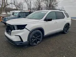 5FNYG1H9XSB183368 2025 HONDA PILOT
