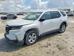 5FNYG2H20PB005842 2023 HONDA PILOT