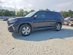5FNYG2H26RB007047 2024 HONDA PILOT