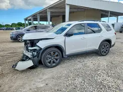 5FNYG2H31TB005948 2026 HONDA PILOT