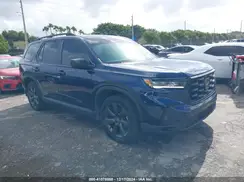 5FNYG2H32RB006860 2024 HONDA PILOT