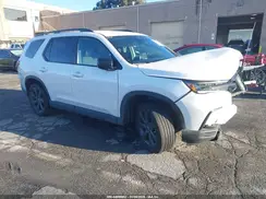 5FNYG2H37RB010239 2024 HONDA PILOT