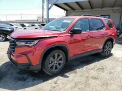 5FNYG2H38RB009889 2024 HONDA PILOT