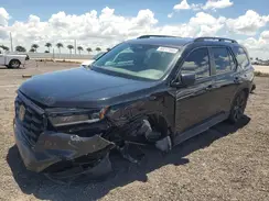 5FNYG2H39RB002269 2024 HONDA PILOT
