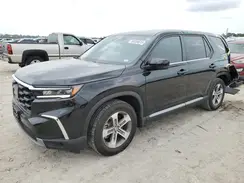 5FNYG2H40PB012310 2023 HONDA PILOT