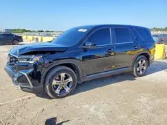 5FNYG2H40RB003612 2024 HONDA PILOT