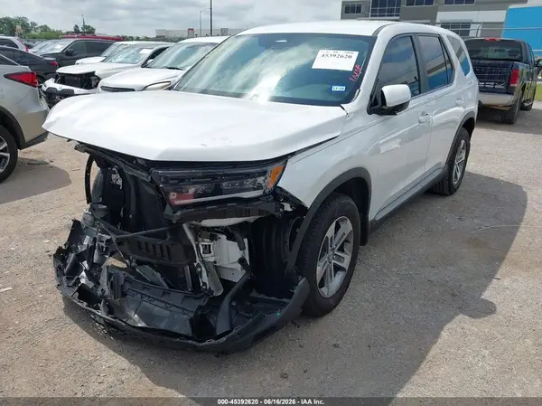 5FNYG2H40RB005084 2024 HONDA PILOT - Image 2