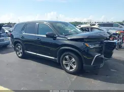 5FNYG2H41RB002971 2024 HONDA PILOT