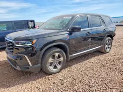 5FNYG2H41RB003604 2024 HONDA PILOT