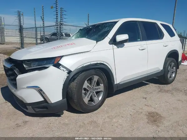 5FNYG2H41RB008222 2024 HONDA PILOT - Image 2