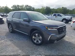5FNYG2H41SB019534 2025 HONDA PILOT