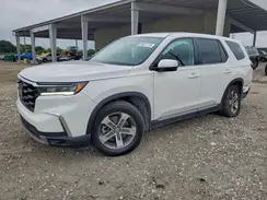 5FNYG2H41SB026564 2025 HONDA PILOT