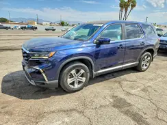5FNYG2H42RB000355 2024 HONDA PILOT