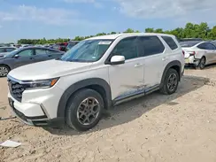 5FNYG2H42RB007323 2024 HONDA PILOT