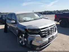 5FNYG2H42RB011033 2024 HONDA PILOT
