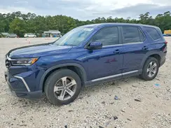 5FNYG2H42RB011405 2024 HONDA PILOT