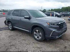 5FNYG2H42RB013641 2024 HONDA PILOT