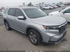 5FNYG2H42RB013834 2024 HONDA PILOT