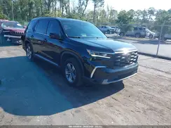 5FNYG2H43RB002695 2024 HONDA PILOT