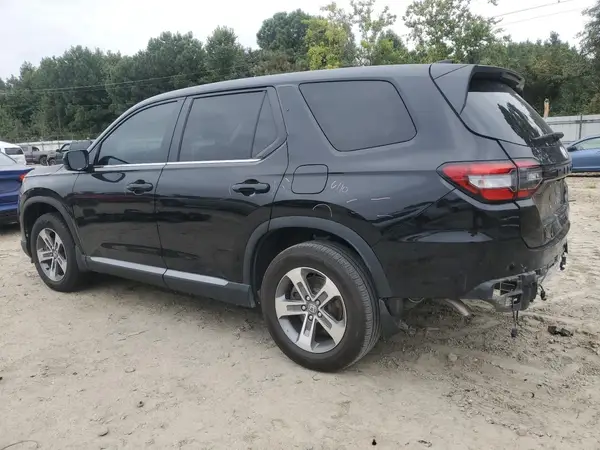 5FNYG2H43RB014099 2024 HONDA PILOT - Image 2