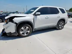 5FNYG2H43RB017049 2024 HONDA PILOT