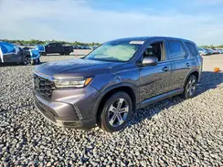 5FNYG2H43SB010141 2025 HONDA PILOT