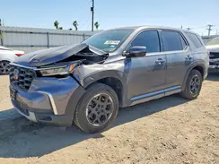 5FNYG2H43SB020443 2025 HONDA PILOT