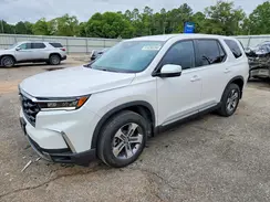 5FNYG2H43SB032429 2025 HONDA PILOT