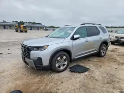 5FNYG2H43TB015518 2026 HONDA PILOT