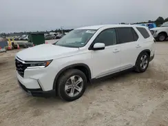 5FNYG2H44SB003828 2025 HONDA PILOT