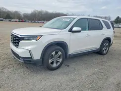 5FNYG2H45SB003529 2025 HONDA PILOT