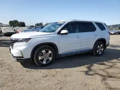 5FNYG2H46RB005932 2024 HONDA PILOT