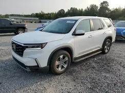 5FNYG2H46RB007227 2024 HONDA PILOT