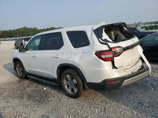 5FNYG2H46RB007227 2024 HONDA PILOT - Image 2