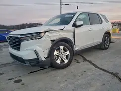 5FNYG2H46RB008166 2024 HONDA PILOT