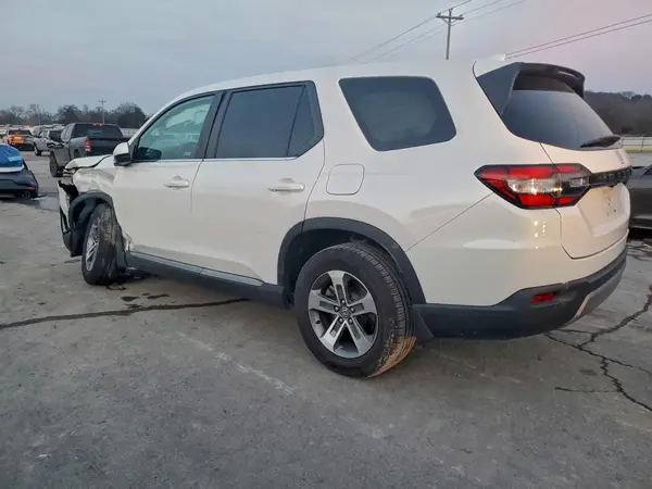 5FNYG2H46RB008166 2024 HONDA PILOT - Image 2