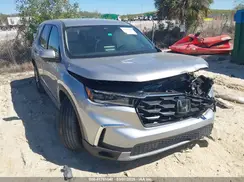 5FNYG2H46RB009981 2024 HONDA PILOT