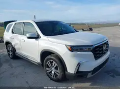 5FNYG2H46RB013920 2024 HONDA PILOT
