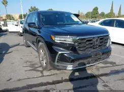 5FNYG2H46SB001806 2025 HONDA PILOT