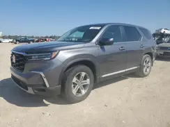 5FNYG2H46SB013146 2025 HONDA PILOT