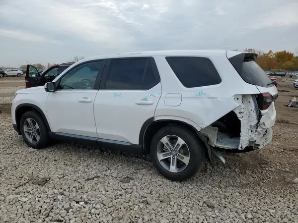 5FNYG2H47RB008578 2024 HONDA PILOT - Image 2