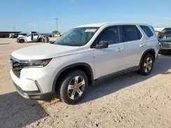 5FNYG2H47RB012551 2024 HONDA PILOT