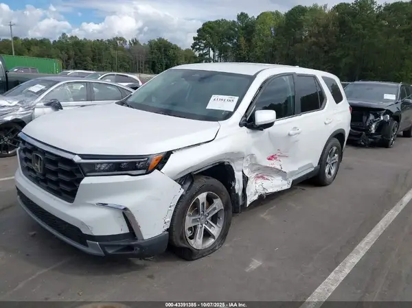 5FNYG2H47RB012582 2024 HONDA PILOT - Image 2
