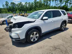 5FNYG2H47RB012985 2024 HONDA PILOT