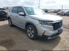 5FNYG2H48RB007312 2024 HONDA PILOT