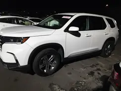 5FNYG2H48RB012154 2024 HONDA PILOT